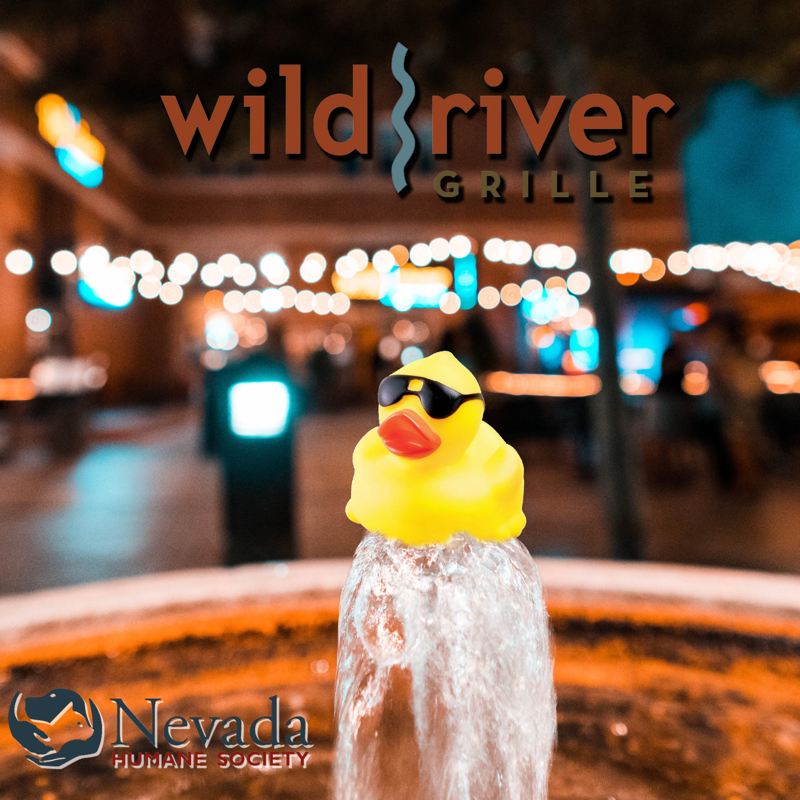 Wild River Grille is a Proud Sponsor  of the 2020 Duck Race!