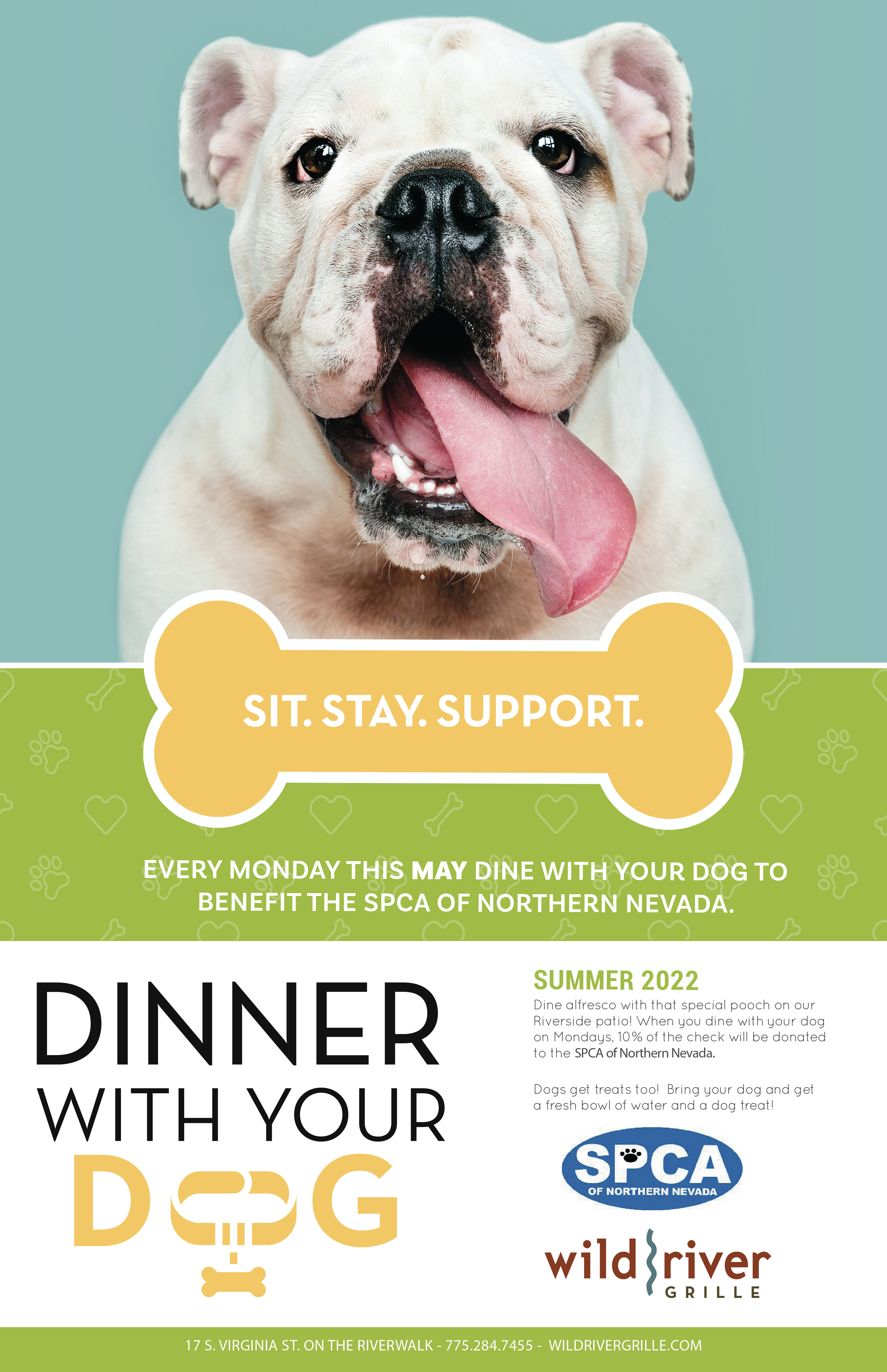 Dinner With Your Dog