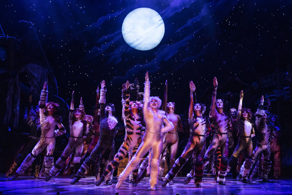 The company of the 2021-2022 national tour of CATS (Photo By Matthew Murphy, Murphymade)