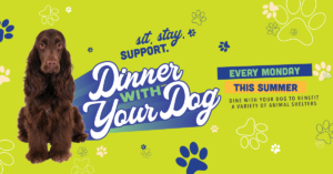 dwyd_2025_FACEBOOK_Banner