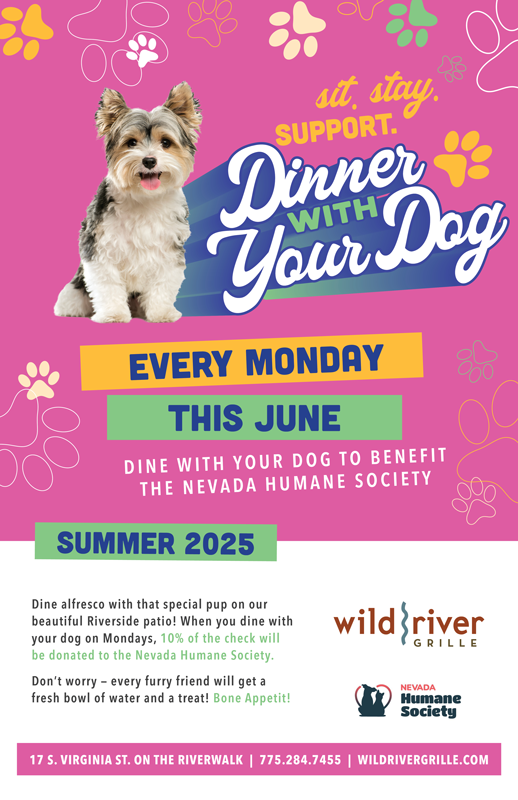 Dinner With Your Dog
