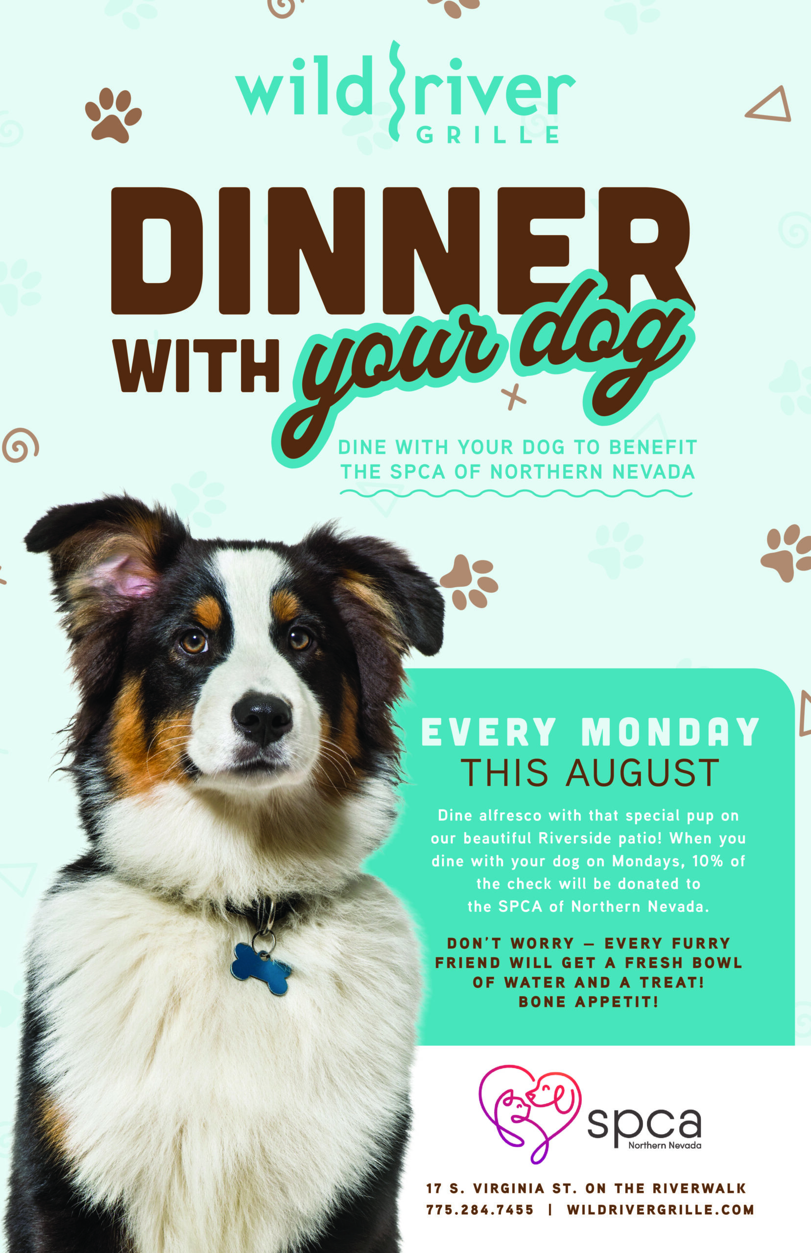 Dinner with your dog POSTER Aug
